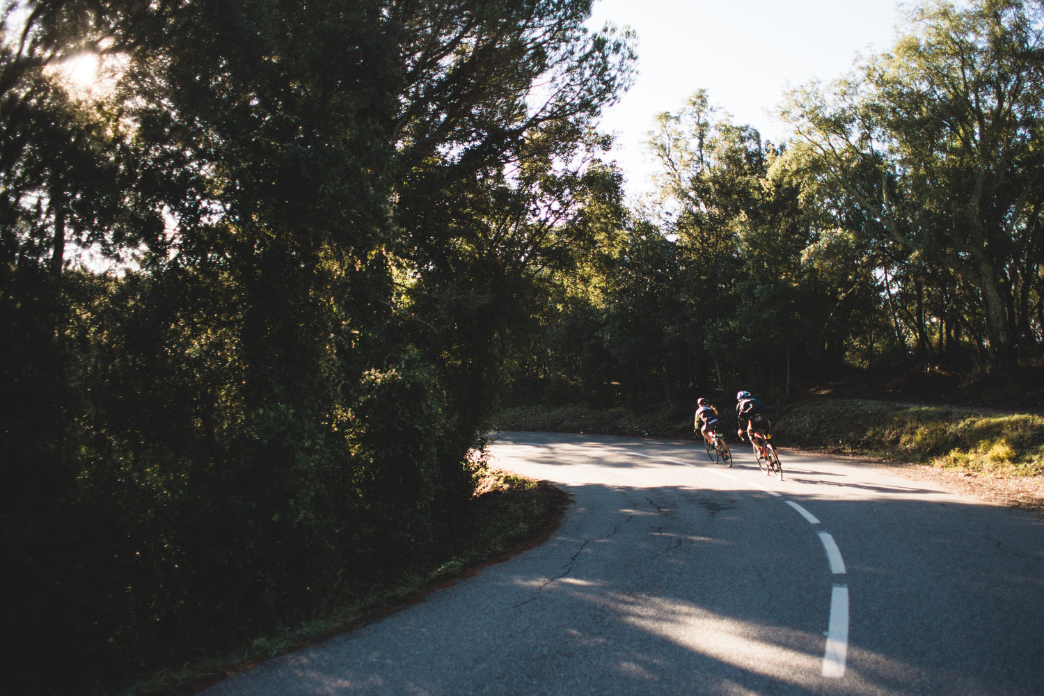 Two cyclists on road